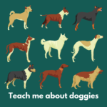 Teach Me About Doggies: Learning about dog training together