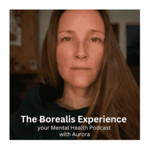 The Borealis Experience