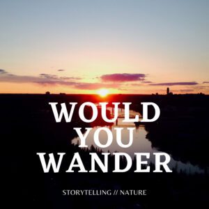 Would You Wander